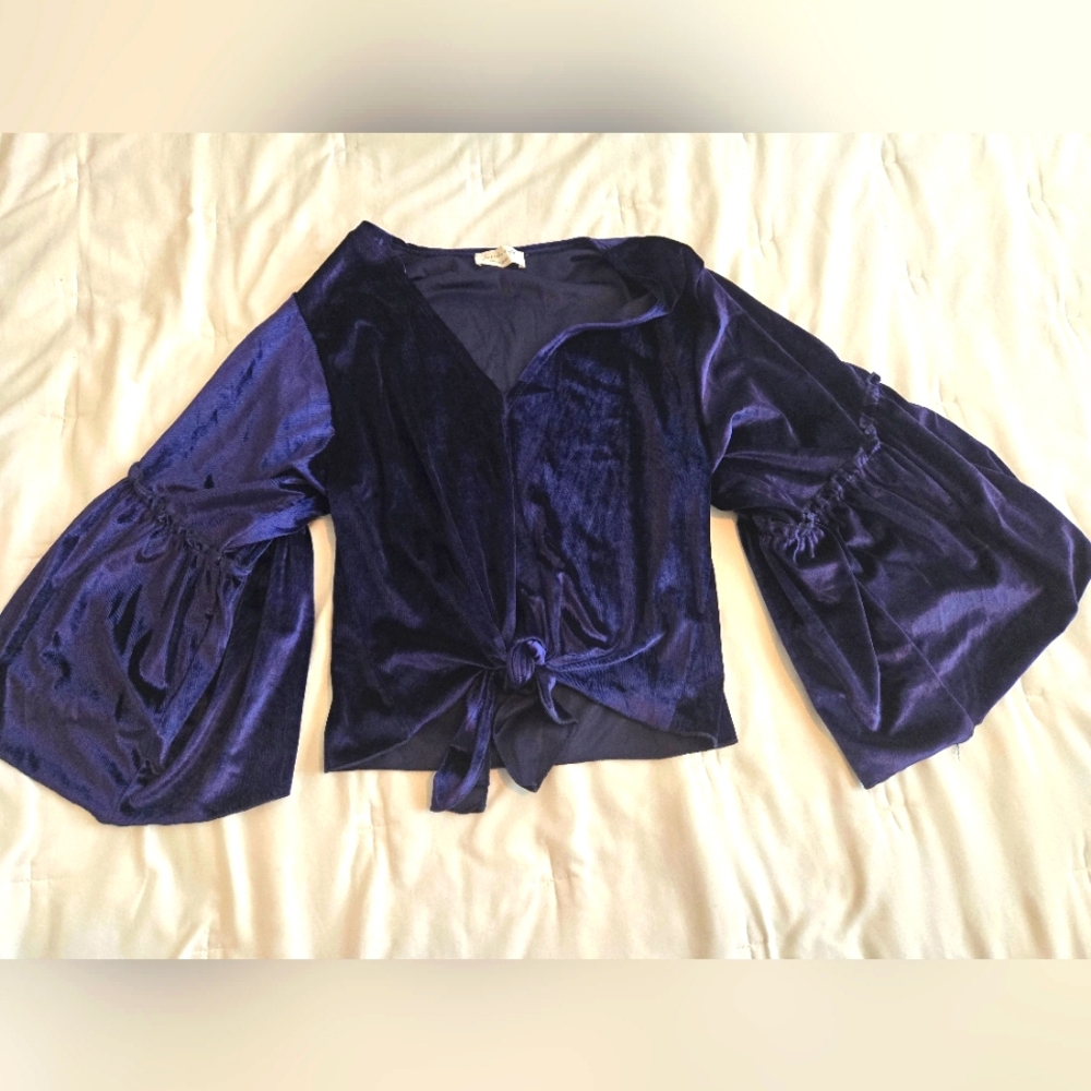 Anthropolgie Velvet top